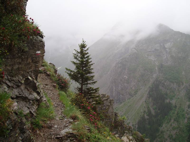 Youri - Ecrins 2005 175 